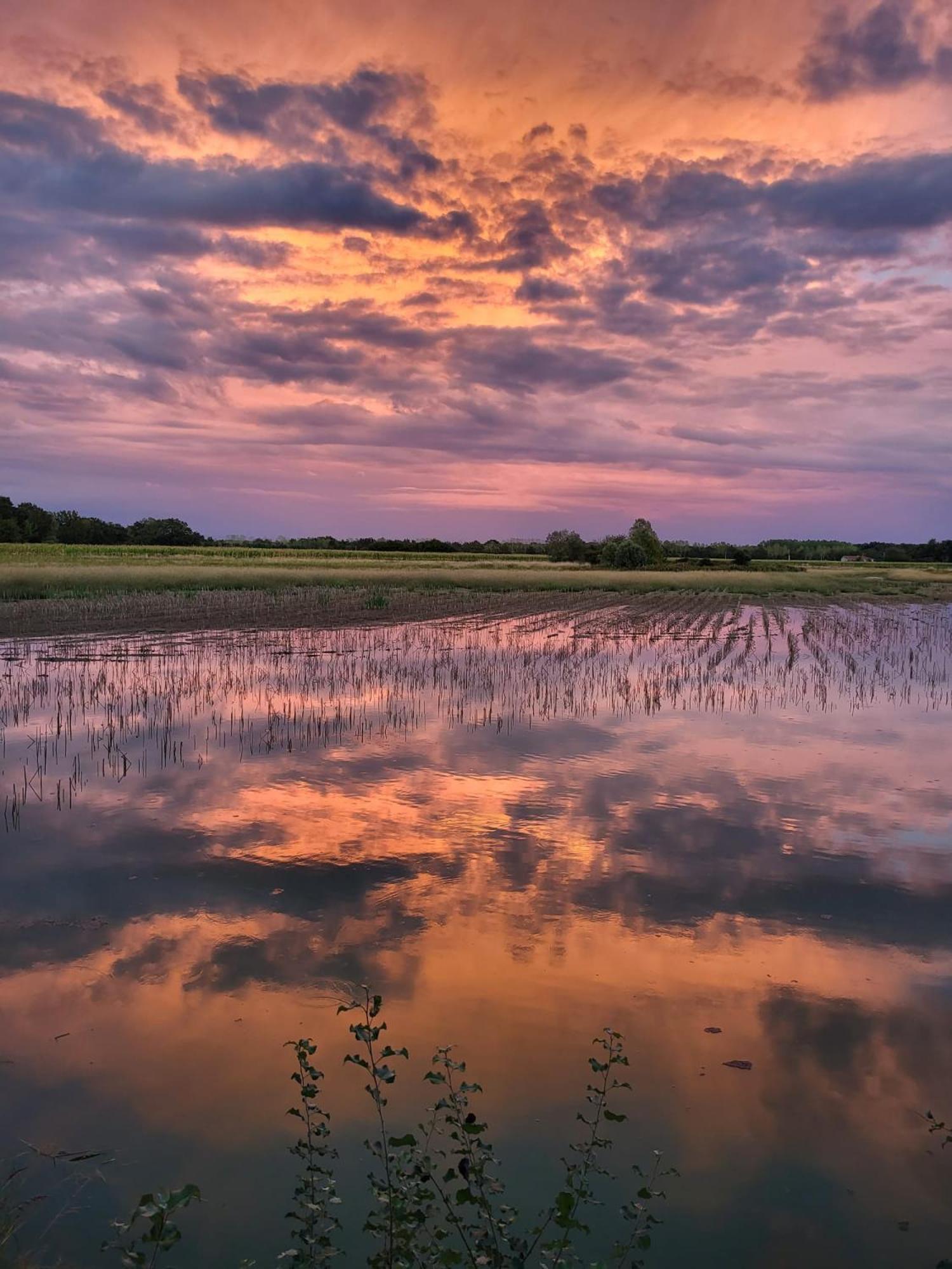 Le Domaine Du Pin Bed and Breakfast Châtillon-sur-Chalaronne Exteriör bild